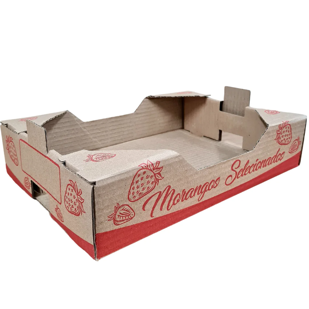 Caixa de Transporte para Morango